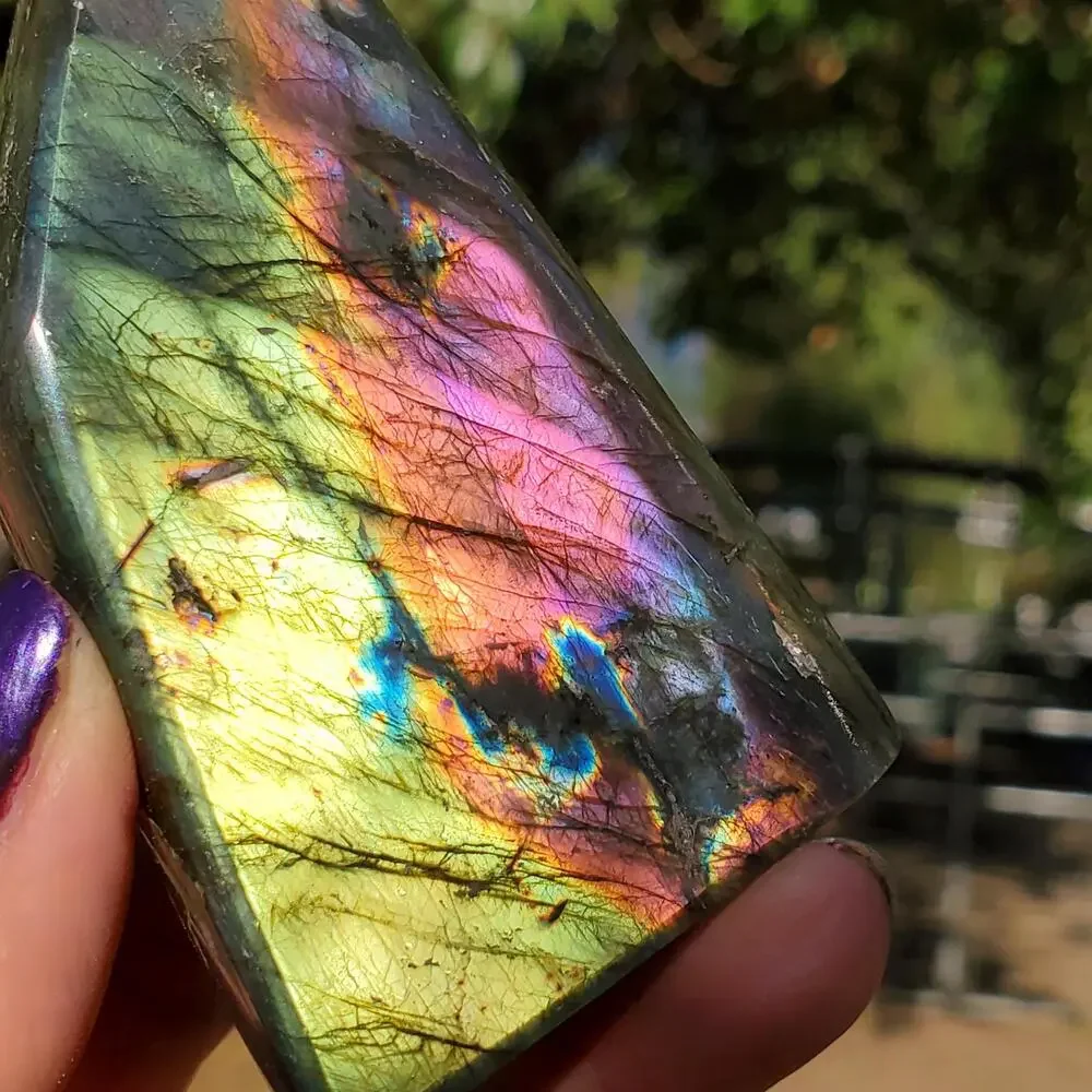 N/A multi color