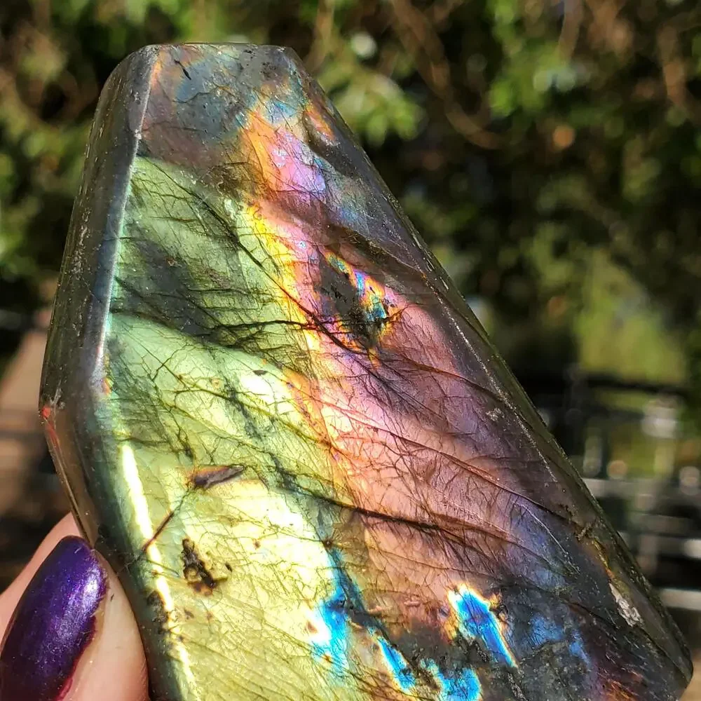 N/A multi color