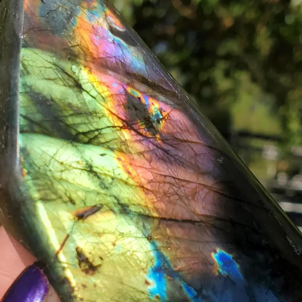 N/A multi color