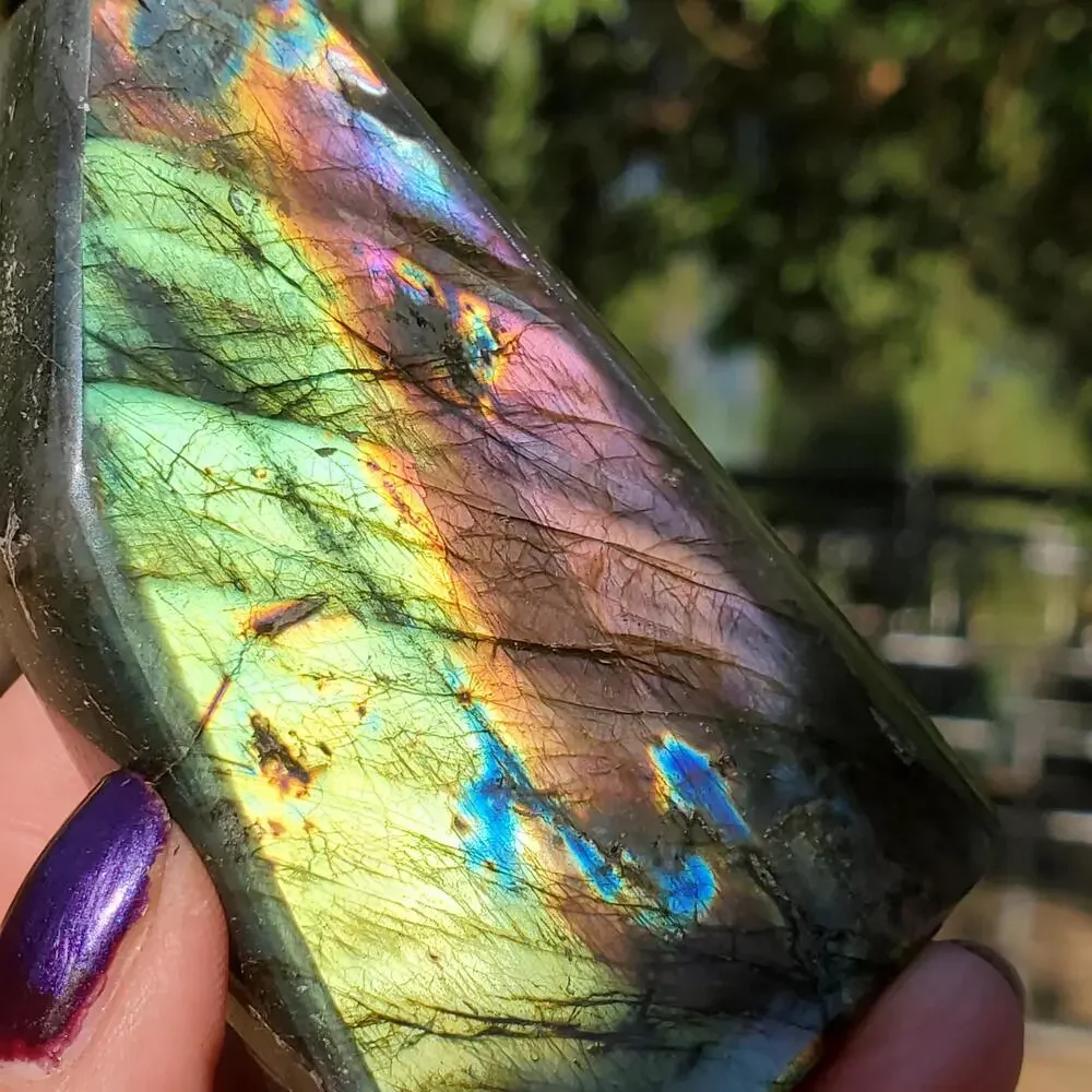 N/A multi color