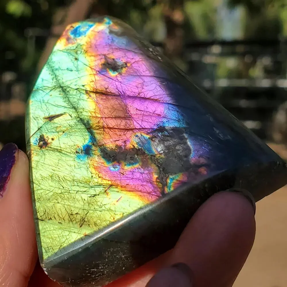 N/A multi color