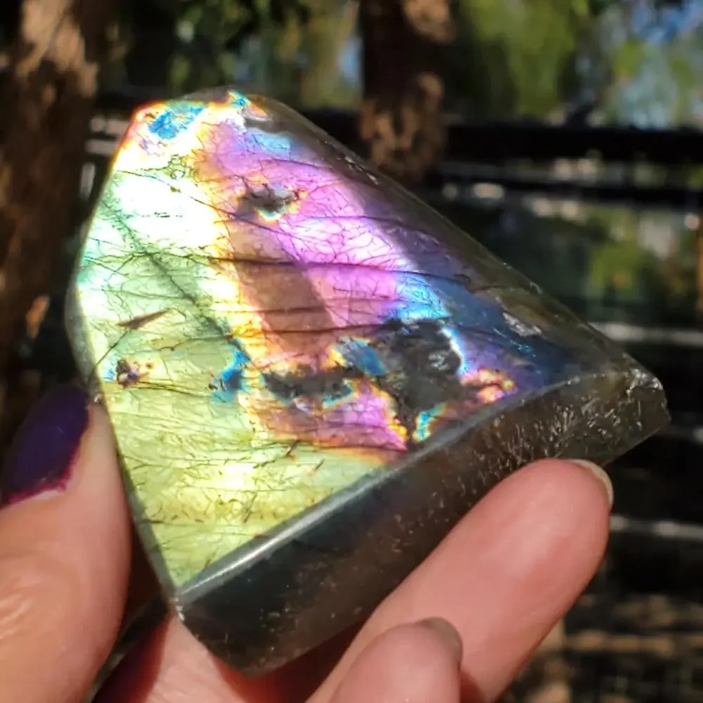 N/A multi color