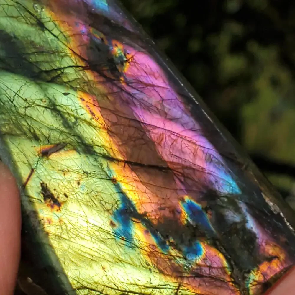 N/A multi color
