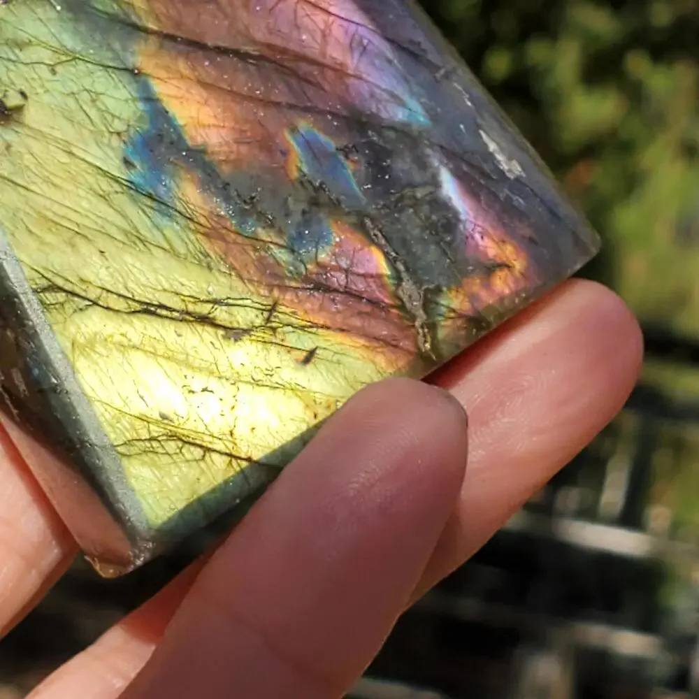 N/A multi color