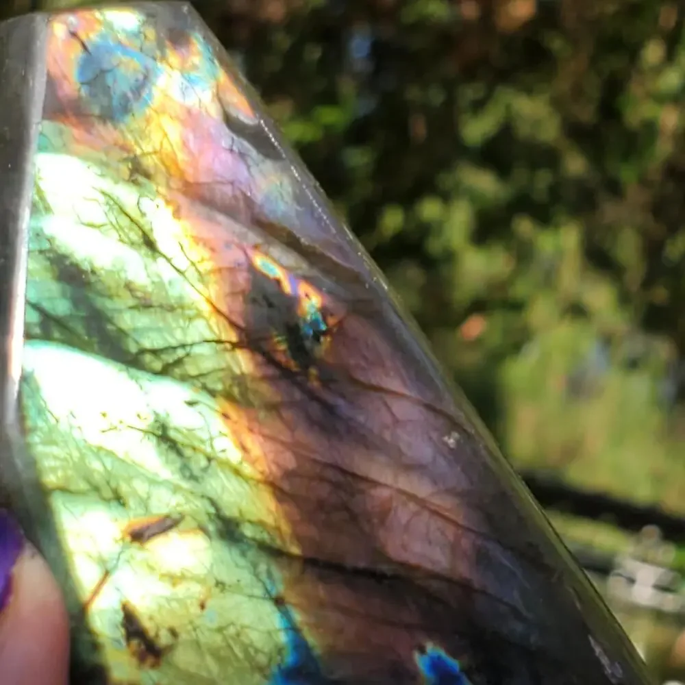 N/A multi color