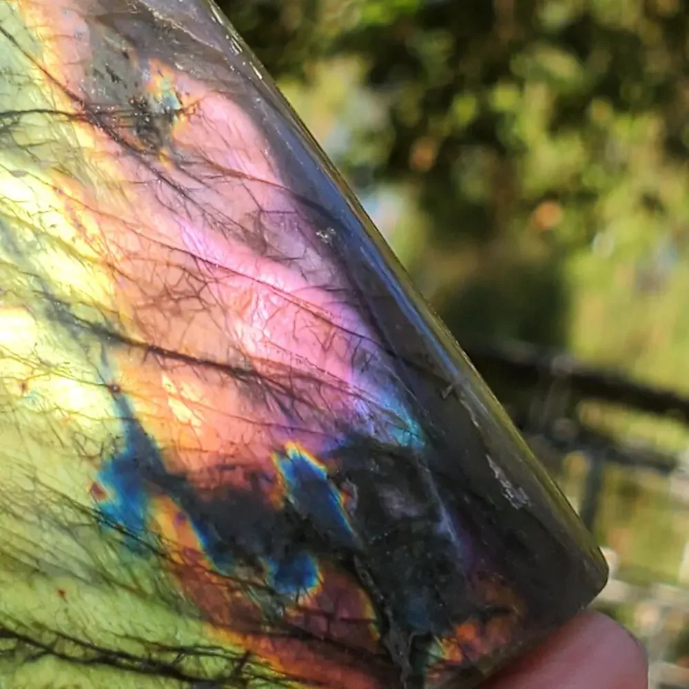 N/A multi color