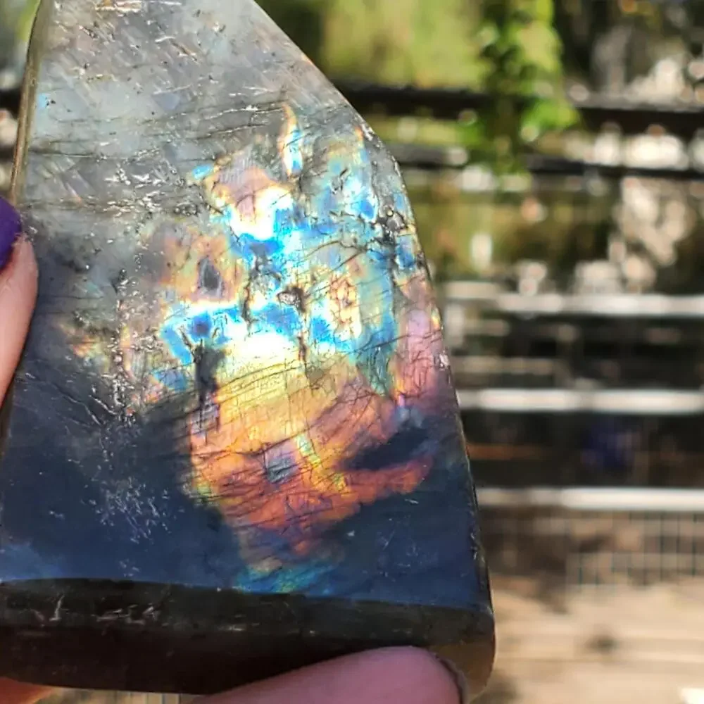 N/A multi color
