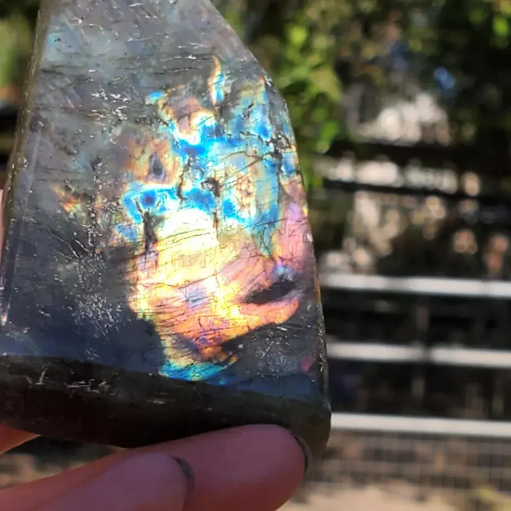 N/A multi color