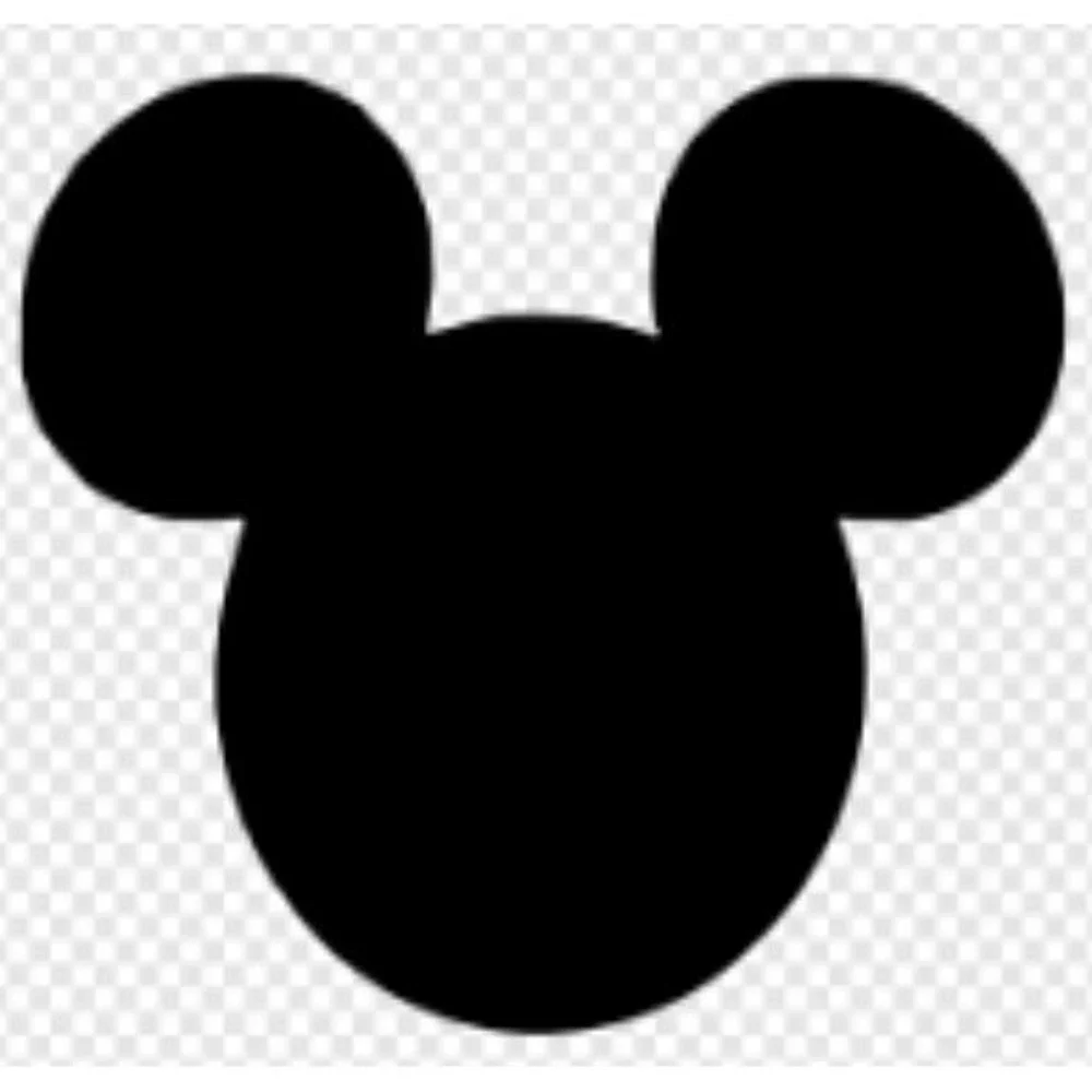 Disney disneyland features