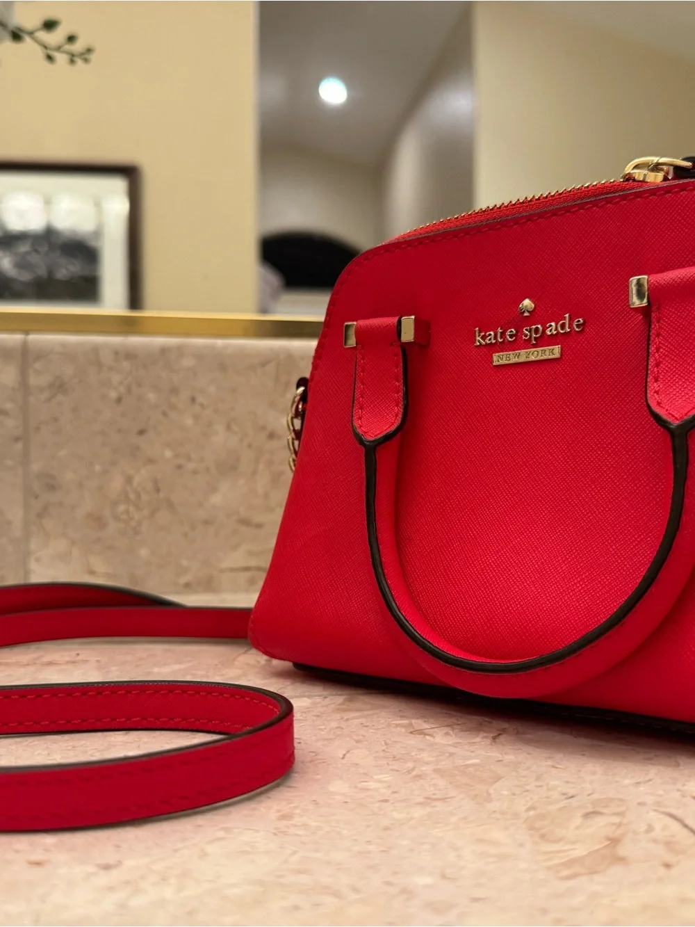 kate spade mini vibrant
