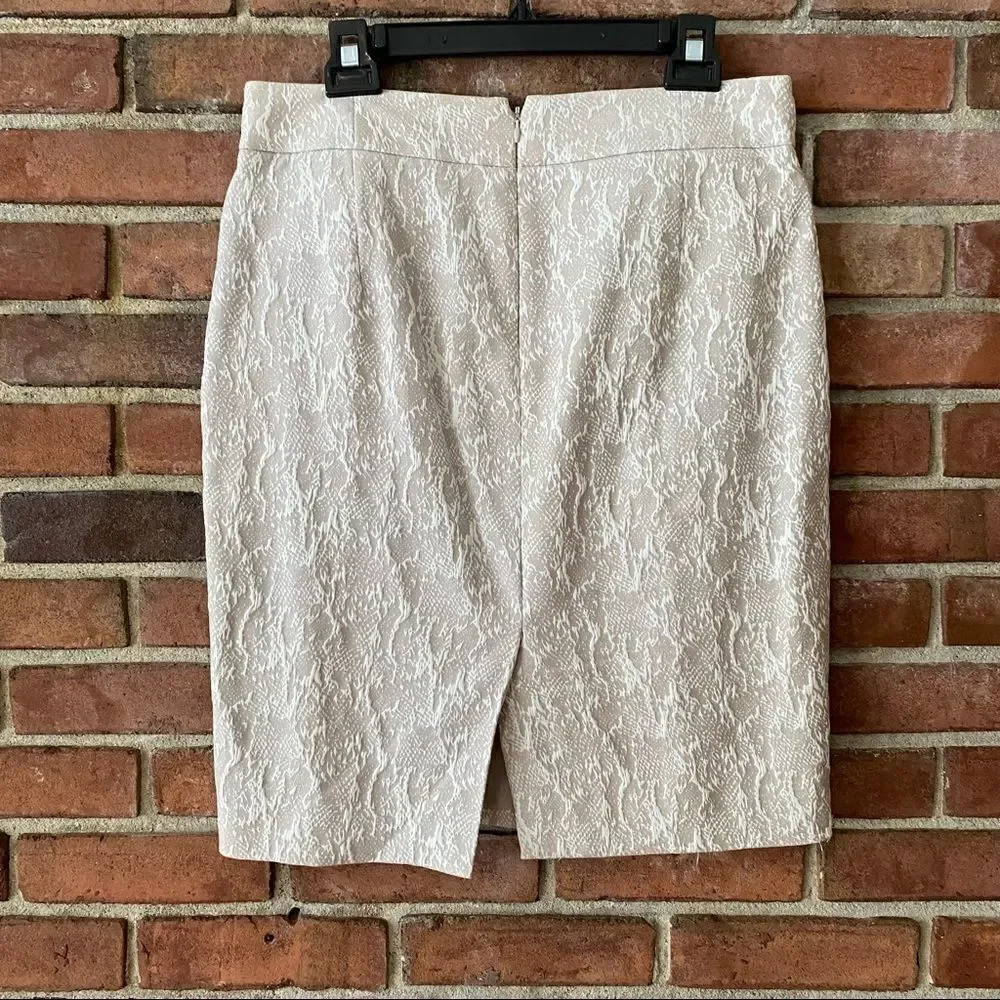 Calvin Klein calvin klein