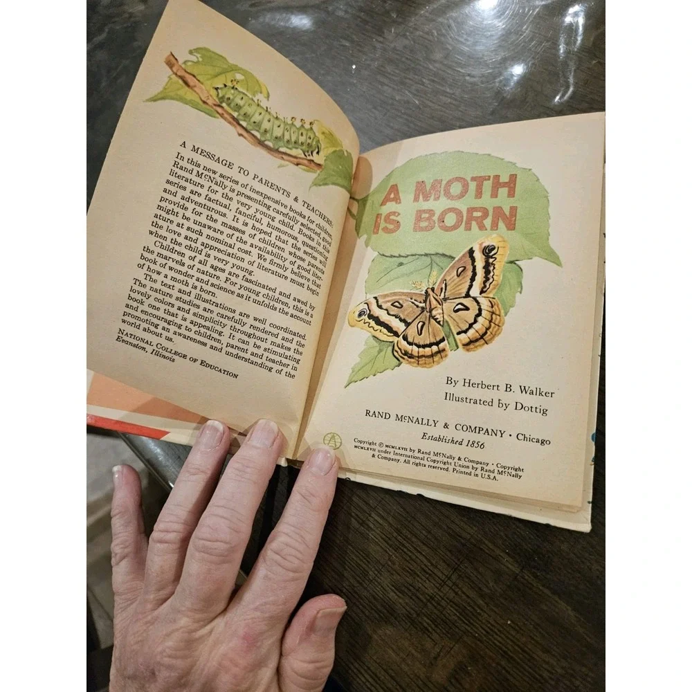 A Moth Is Born Rand McNally Elf‎ Book Vintage 1967