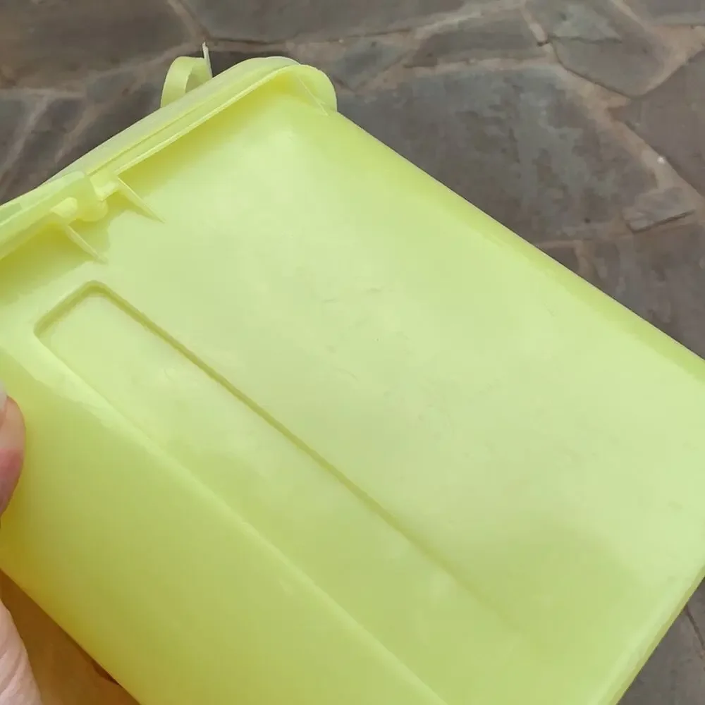 Tupperware vintage lemon