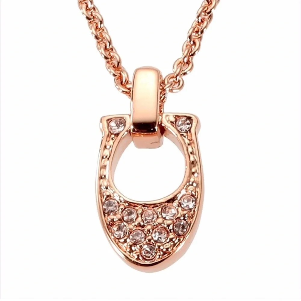 Coach pave signature