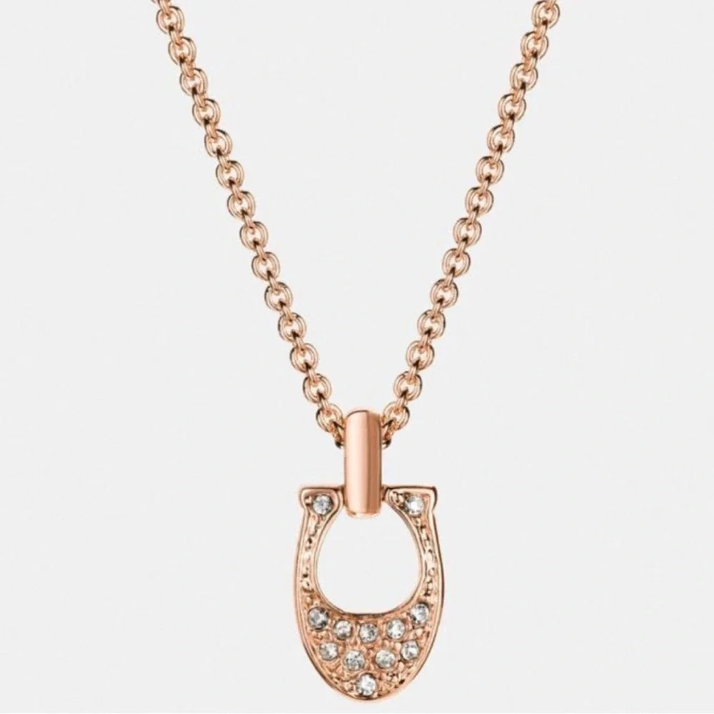 Coach pave signature