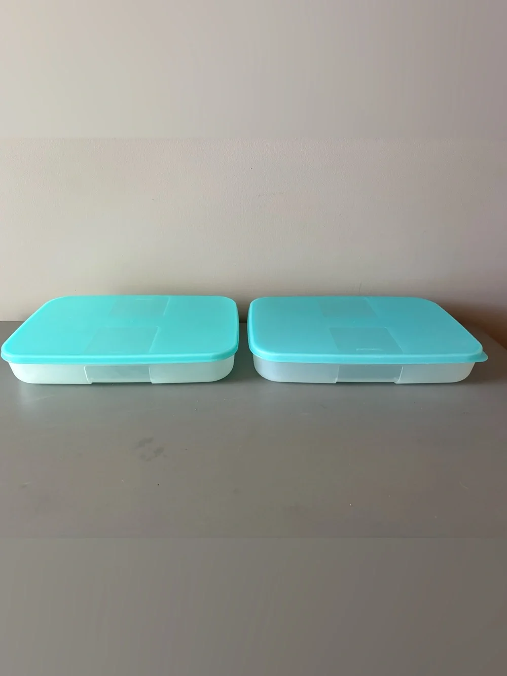 Tupperware Freezer Mates Set of 2 Rectangular Storage Containers Teal Aqua