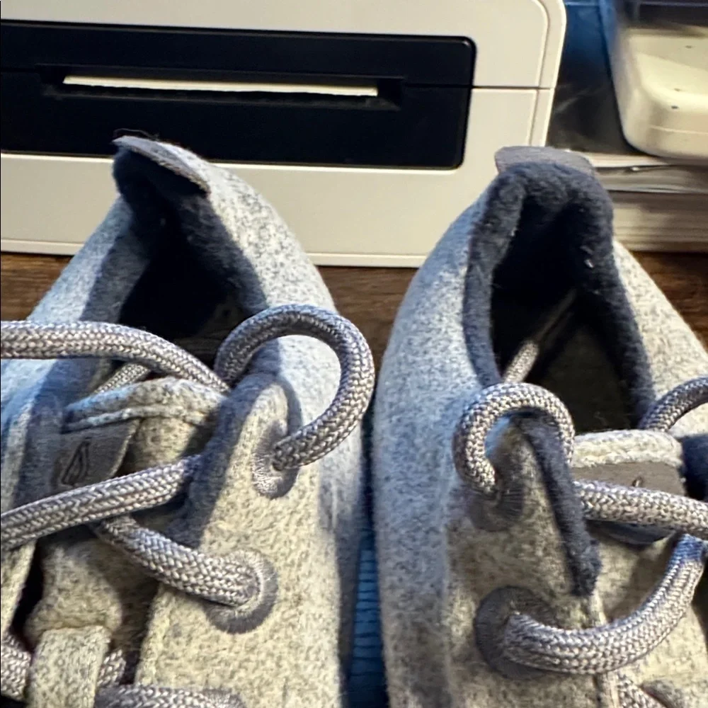 allbirds women’s wool
