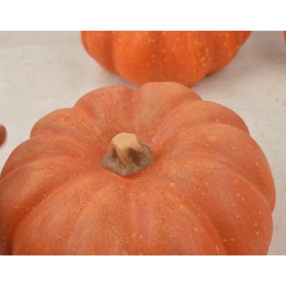 Pier 1 Fall Halloween Decor Lot Pumpkins Gourds Corn Witch Doll Autumn Harvest