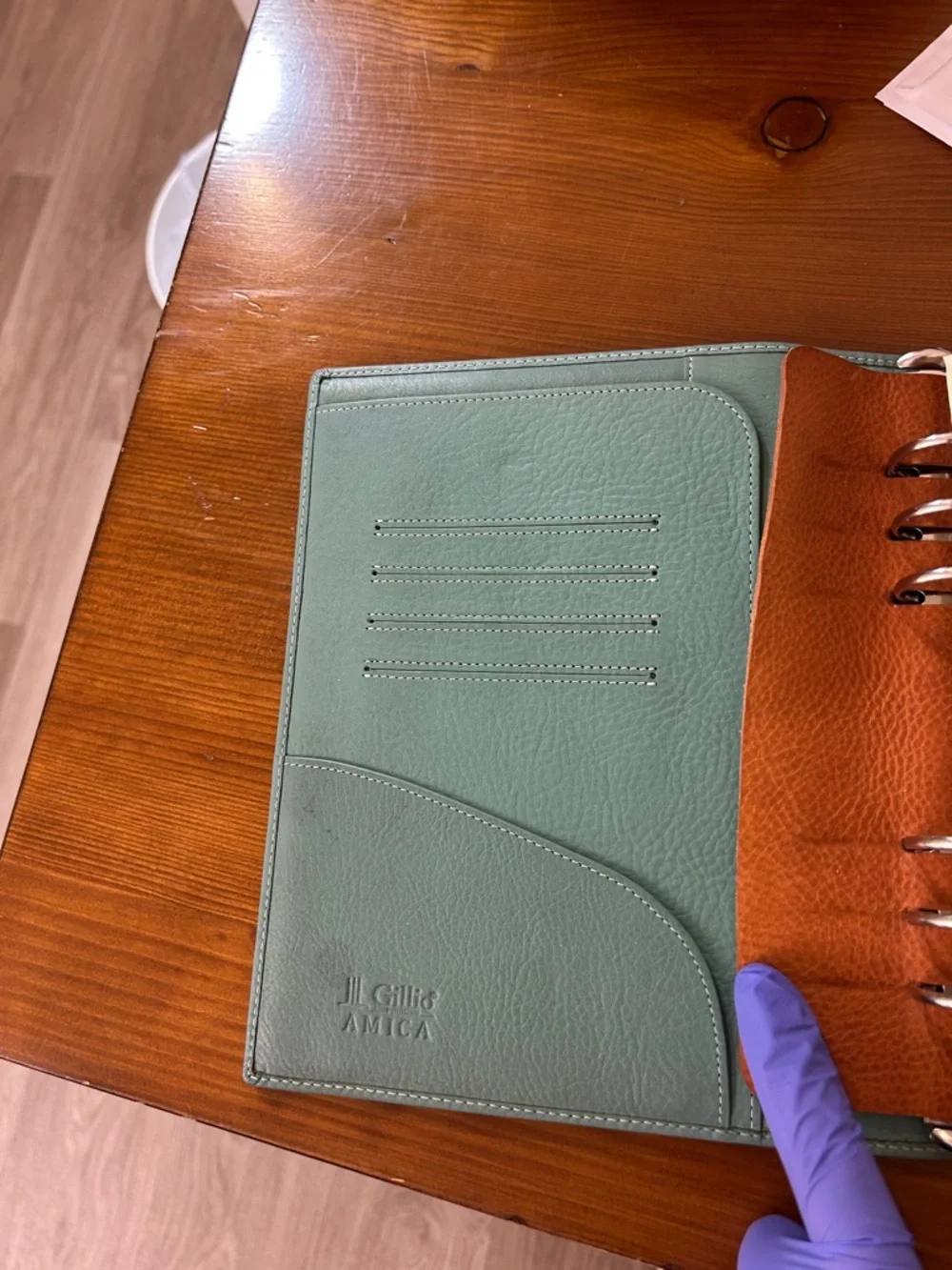 Gillo planner amica