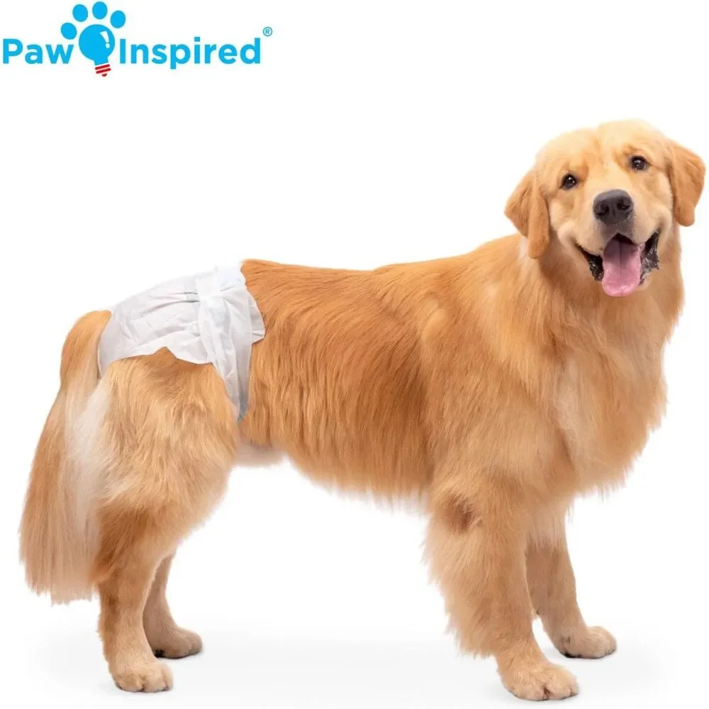 N/A brand paw