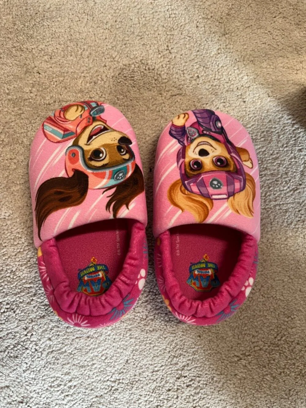 Paw Patrol girls paw