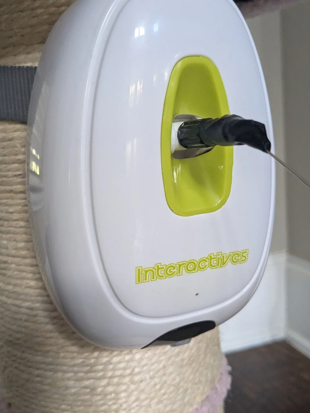 all for paws automatic interactive