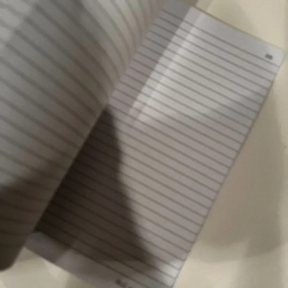 N/A sarcastic notebook