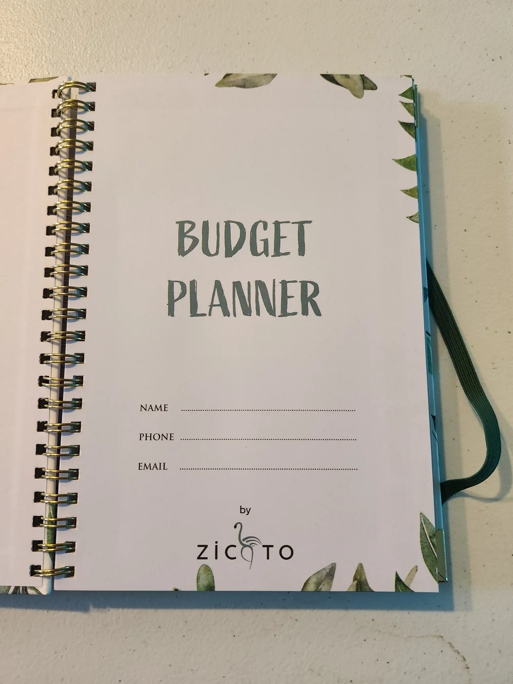 Zicto zicoto budget