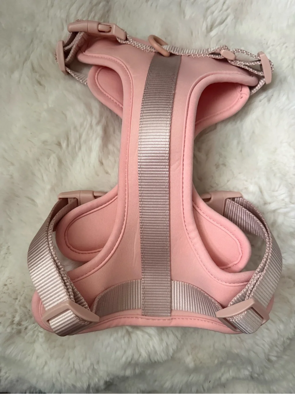 Wild One comfortable padded