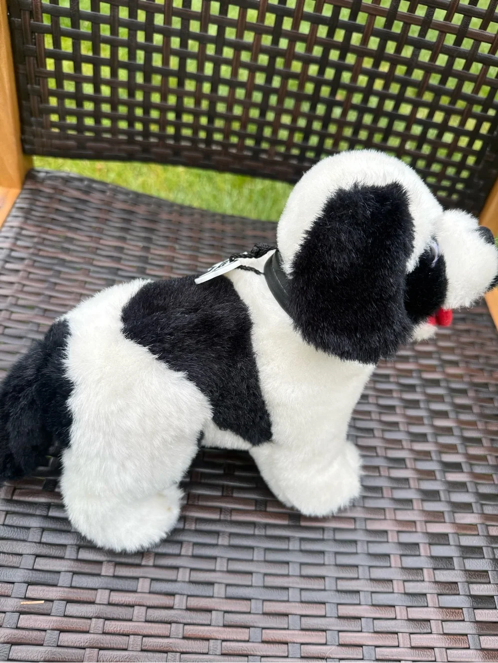Big Dog 🐼 adorable