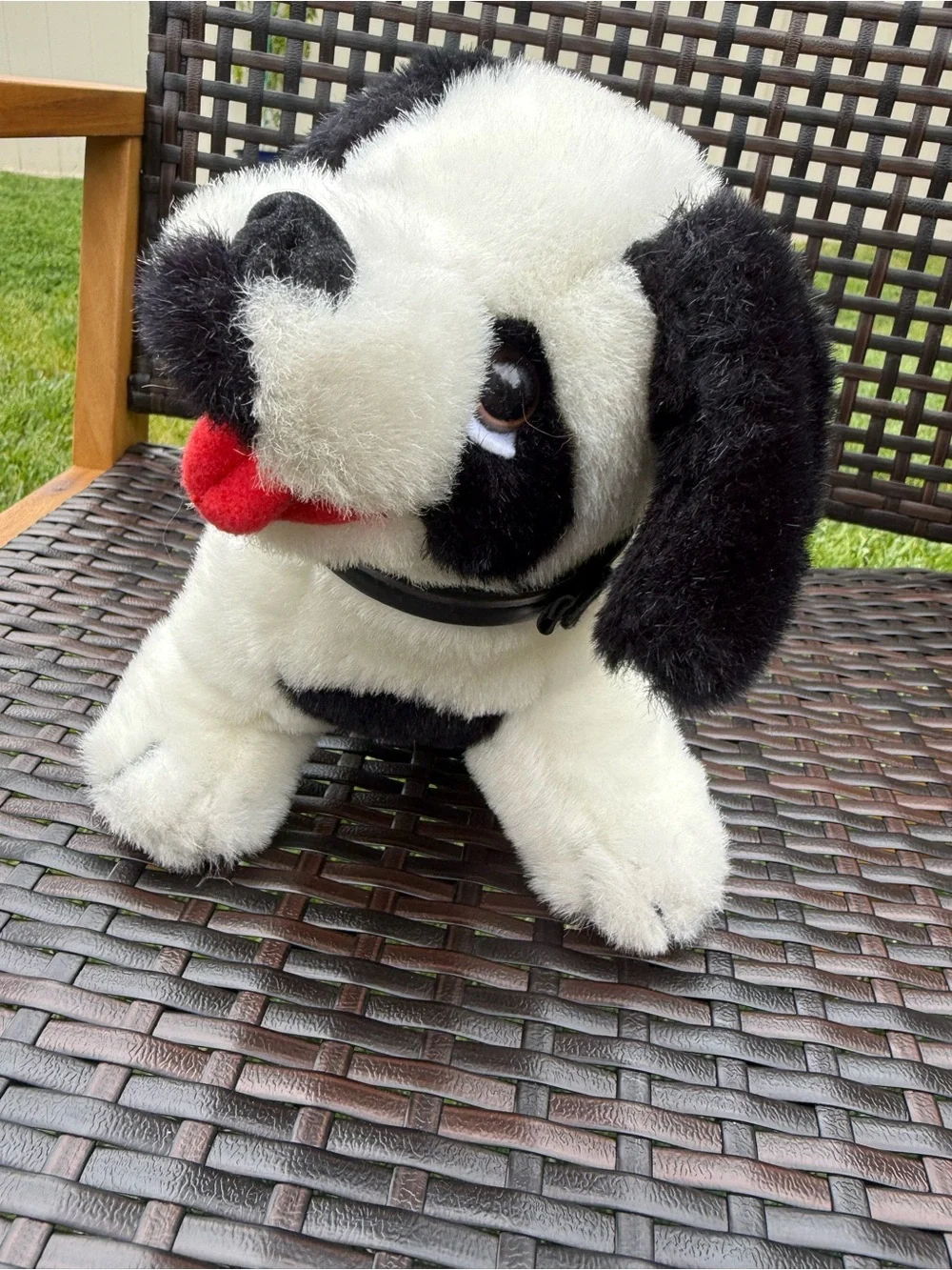 Big Dog 🐼 adorable