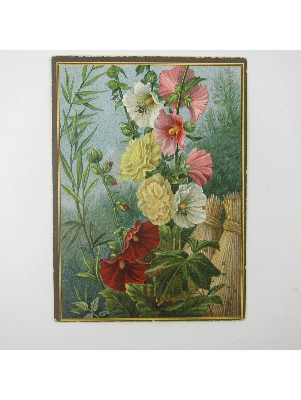 N/A victorian greeting