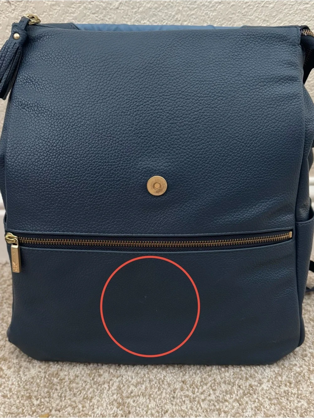Freshly Picked crossbody interior detachable