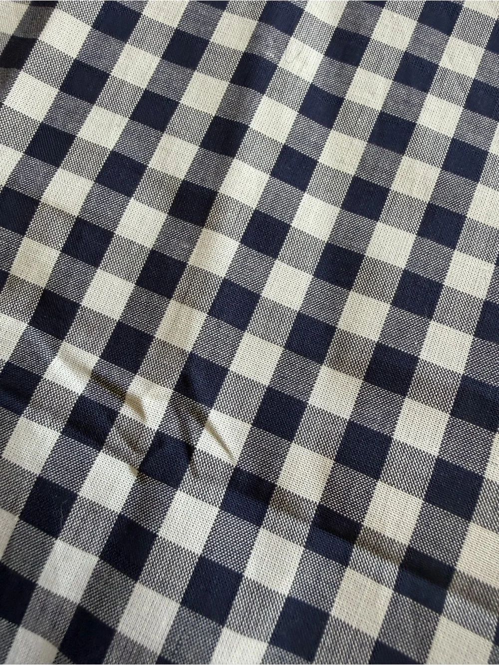 Daniel Cremieux crisp gingham