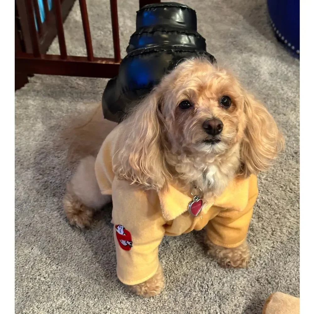 Rubies Ghostbusters Shirt Pet Costume Size M Outfit with Inflatable Proton Pack