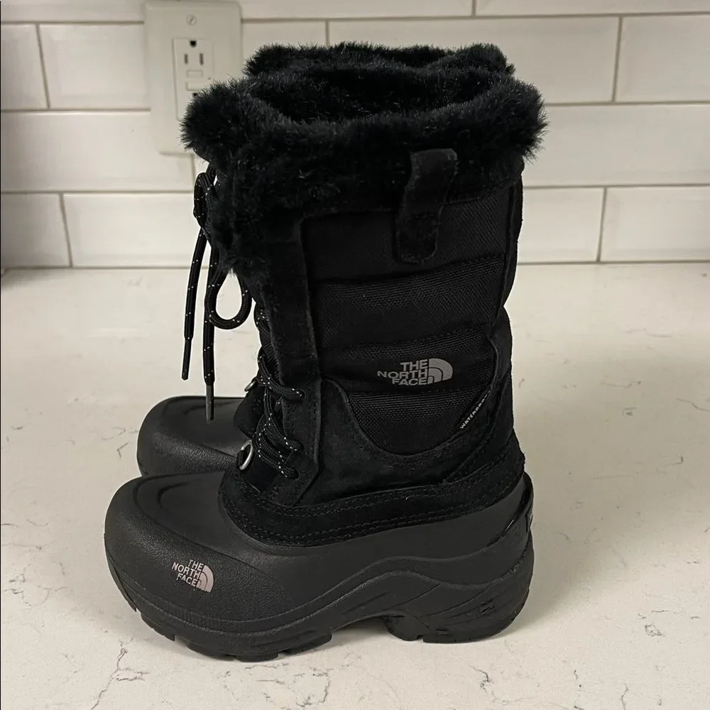 The North Face brand north
