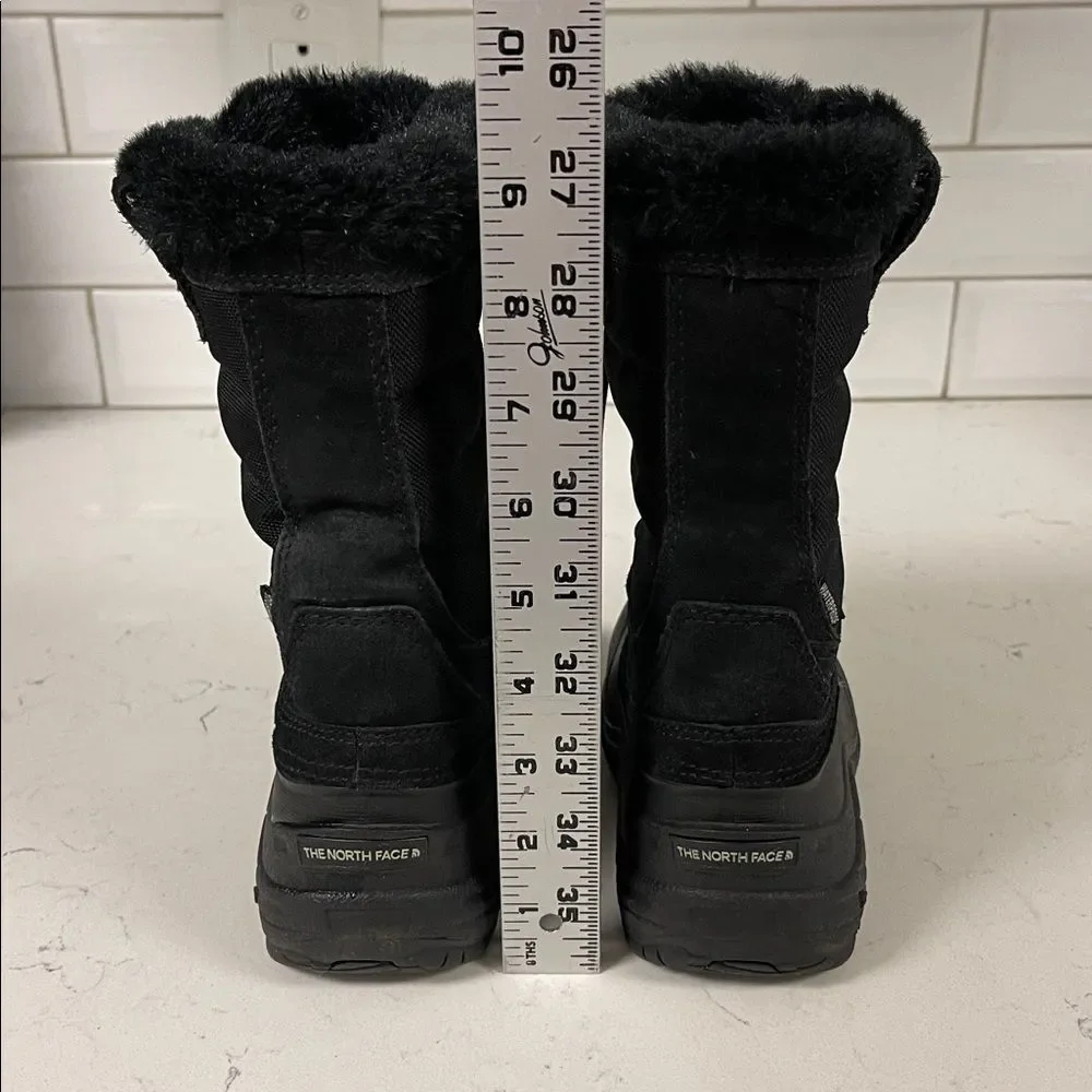 The North Face brand north
