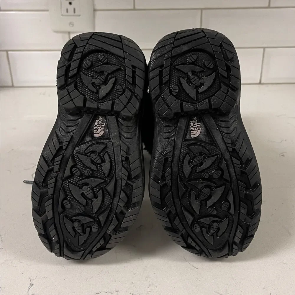 The North Face brand north