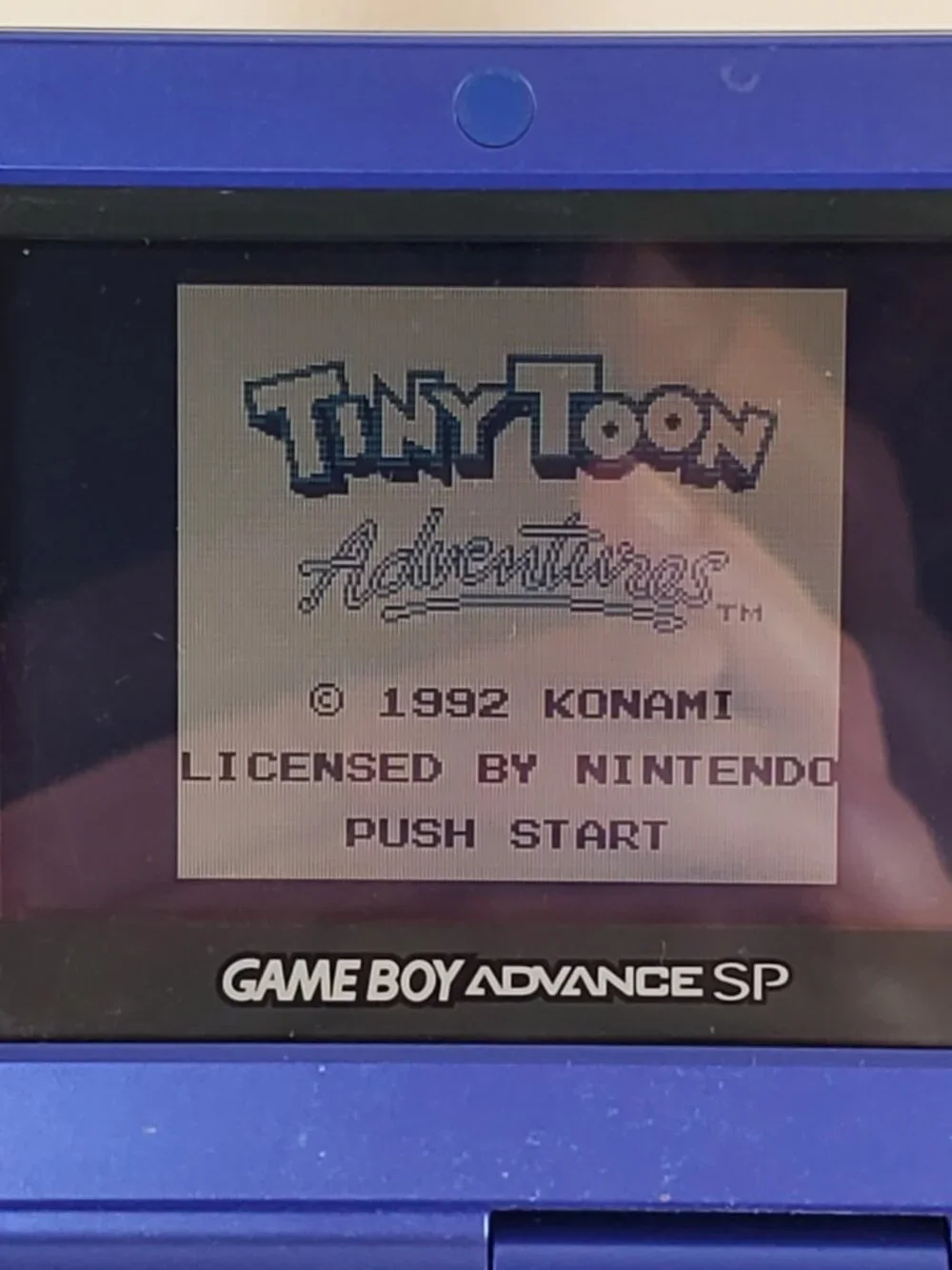 Nintendo tiny toon