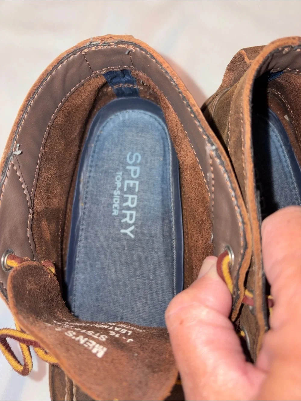 Sperry men chukka