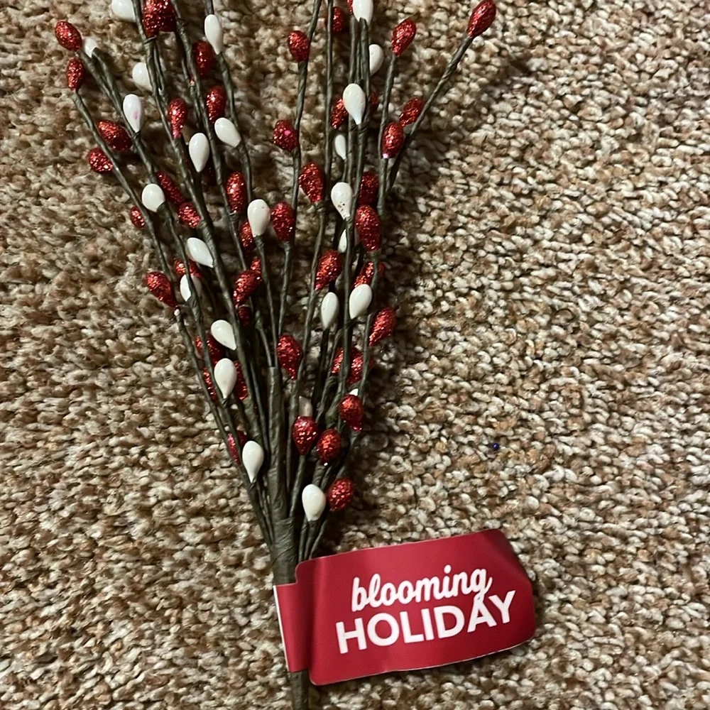 Blooming Holiday up account