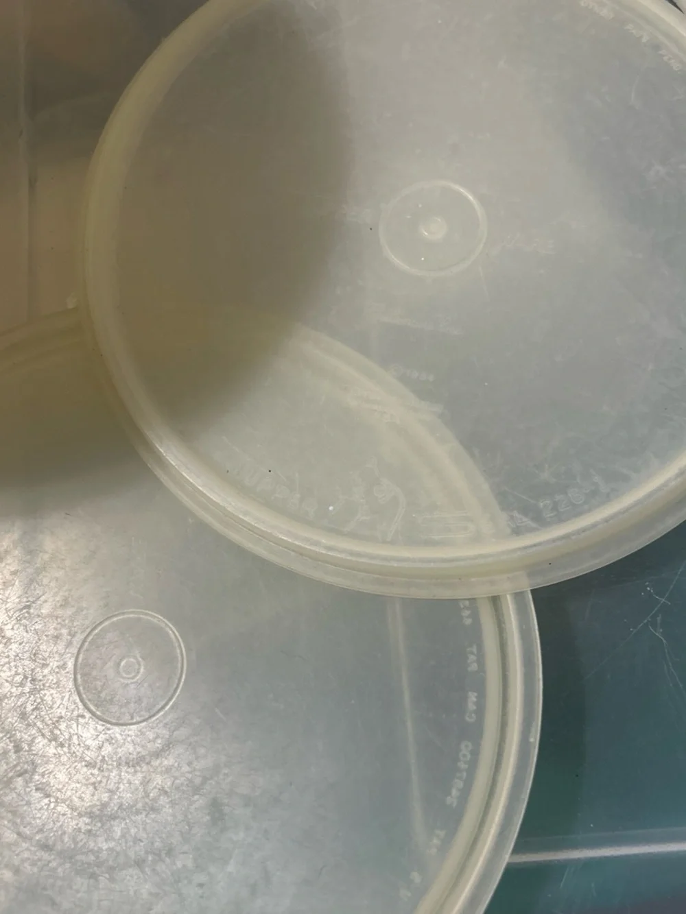 Set of Two Round Food Storage Containers in Pale Yellow