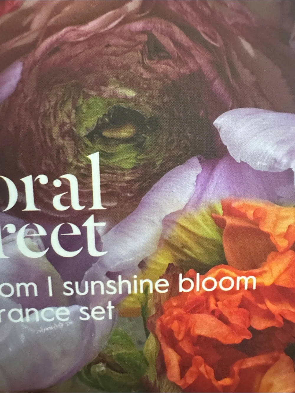 Pura Scents new bright home