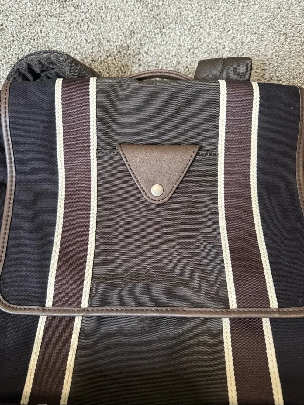 Fossil striped back