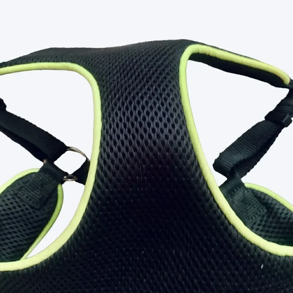 None black mesh