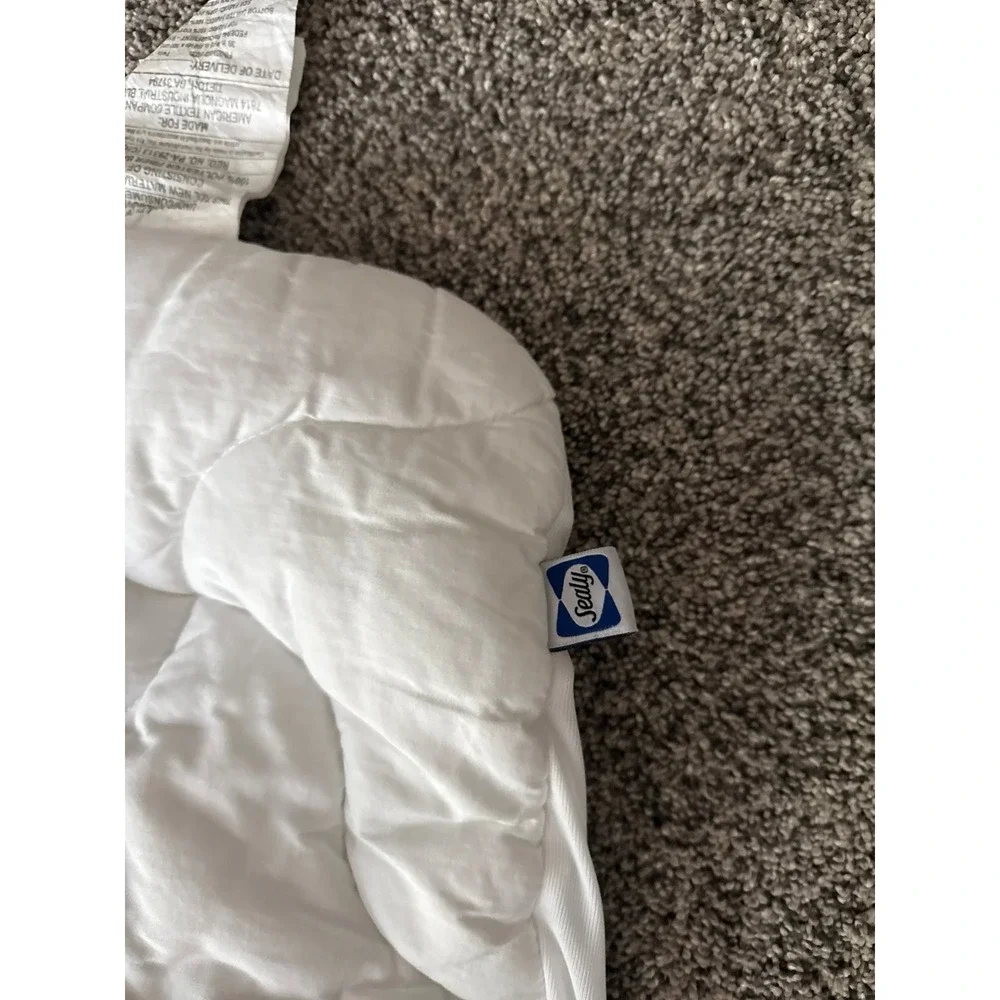 Sealy mattress 100%