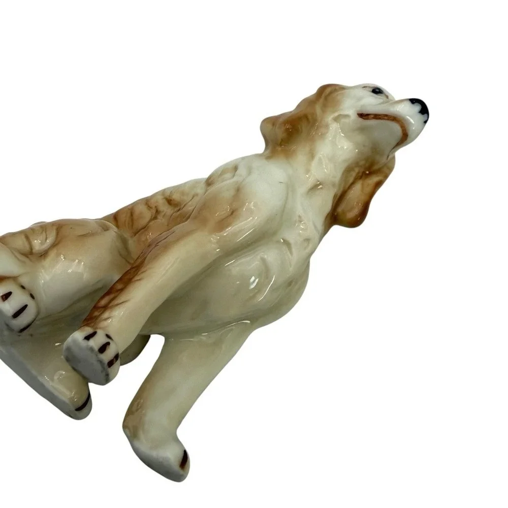 N/A all unless spaniel