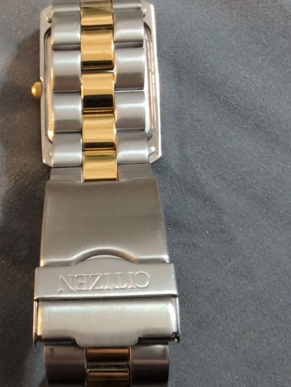 Citizen stainless two