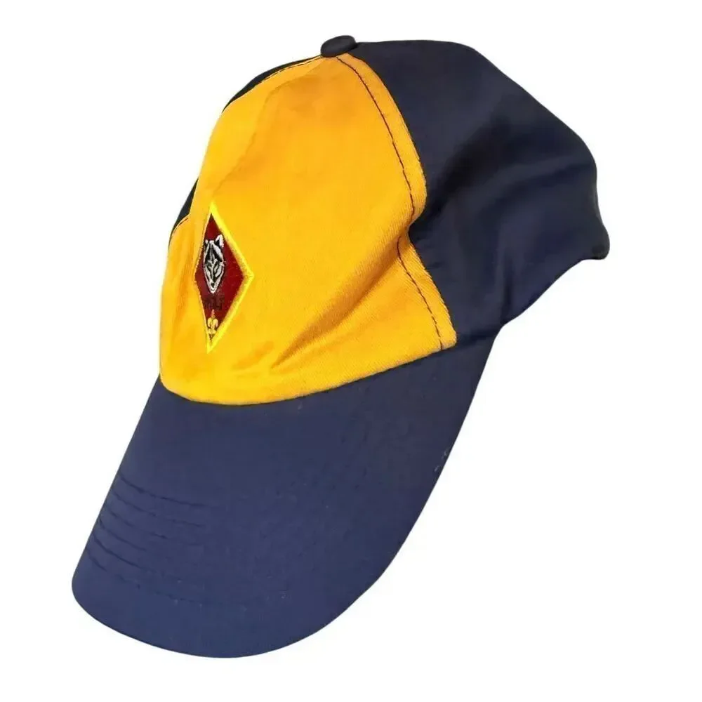 Boy Scouts of America boy scouts
