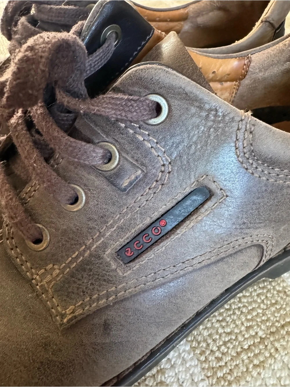 Ecco features plenty winter